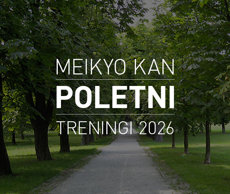 Poletni treningi kluba Meikyo kan 2026